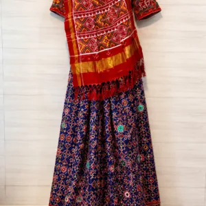 Double ikkat Patan Patola Saree